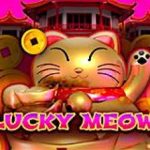 Lucky Meow